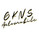 Logo GKNS Automobile